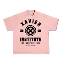 Salmon xavier institute Urban Heavy Tee - linhVisuals