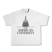 Lunar Rock american university Urban Heavy Tee - linhVisuals