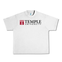 Lunar Rock The temple university Urban Heavy Tee - linhVisuals