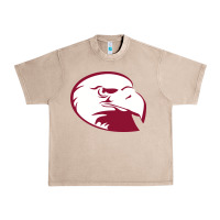 French Oak lock haven bald eagles Urban Heavy Tee - linhVisuals