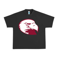 Pigment Black lock haven bald eagles Urban Heavy Tee - linhVisuals