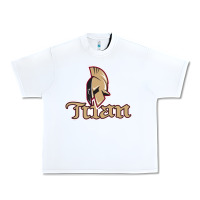 White acadie–titan-bathurst Urban Heavy Tee - linhVisuals