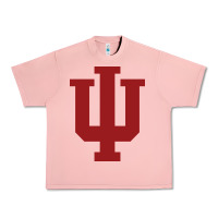 Salmon indiana gifts Urban Heavy Tee - linhVisuals