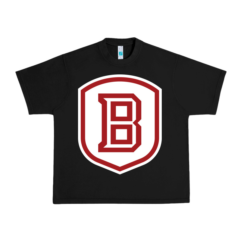 Bradley University Athletics Urban Heavy Tee by linhVisuals | Teevron