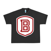 Pigment Black Bradley University Athletics Urban Heavy Tee - linhVisuals