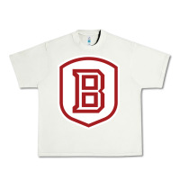 Pistachio Bradley University Athletics Urban Heavy Tee - linhVisuals