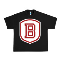 Black Bradley University Athletics Urban Heavy Tee - linhVisuals