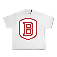 Lunar Rock Bradley University Athletics Urban Heavy Tee - linhVisuals