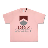 Salmon porter gaud school Urban Heavy Tee - linhVisuals