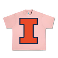Salmon Illinois fighting illini, University of Illinois, UIUC, Geari Urban Heavy Tee - linhVisuals