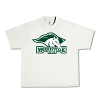 Pistachio morrisville state college Urban Heavy Tee - linhVisuals