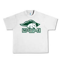 Lunar Rock morrisville state college Urban Heavy Tee - linhVisuals