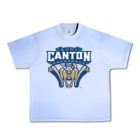 Grape Ice suny canton Urban Heavy Tee - linhVisuals
