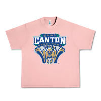 Salmon suny canton Urban Heavy Tee - linhVisuals