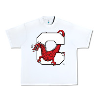 White suny cortland red dragons Urban Heavy Tee - linhVisuals