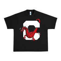 Black suny cortland red dragons Urban Heavy Tee - linhVisuals