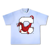 Grape Ice suny cortland red dragons Urban Heavy Tee - linhVisuals
