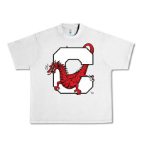 Lunar Rock suny cortland red dragons Urban Heavy Tee - linhVisuals