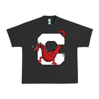 Pigment Black suny cortland red dragons Urban Heavy Tee - linhVisuals