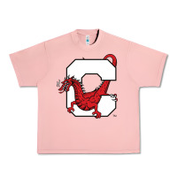 Salmon suny cortland red dragons Urban Heavy Tee - linhVisuals