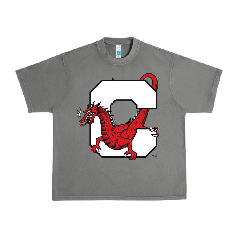 Suny Cortland Red Dragons Urban Heavy Tee by linhVisuals | Teevron