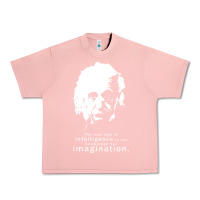 Salmon albert einstein quote1 Urban Heavy Tee - linhVisuals