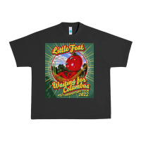 Pigment Black waiting for columbus - little feat Urban Heavy Tee - linhVisuals