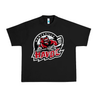 Black huntsville havoc Urban Heavy Tee - linhVisuals