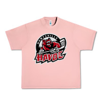 Salmon huntsville havoc Urban Heavy Tee - linhVisuals