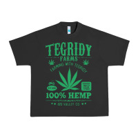 Pigment Black tegridy farms Urban Heavy Tee - linhVisuals