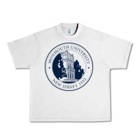 Lunar Rock monmouth university Urban Heavy Tee - linhVisuals