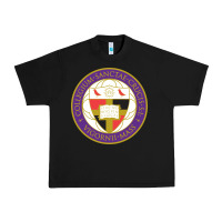 Black college of the holy cross Urban Heavy Tee - linhVisuals
