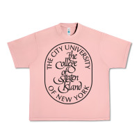 Salmon College Of Staten Island Urban Heavy Tee - linhVisuals