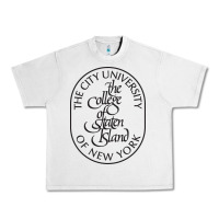 Lunar Rock College Of Staten Island Urban Heavy Tee - linhVisuals