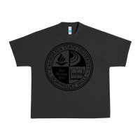 Pigment Black Csu Dominguez Hills Urban Heavy Tee - linhVisuals