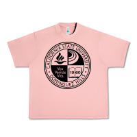 Salmon Csu Dominguez Hills Urban Heavy Tee - linhVisuals