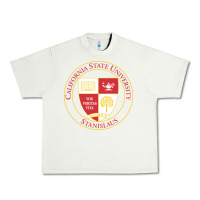 Pistachio Csu Stanislaus Urban Heavy Tee - linhVisuals