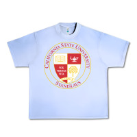 Grape Ice Csu Stanislaus Urban Heavy Tee - linhVisuals