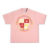 Salmon Csu Stanislaus Urban Heavy Tee - linhVisuals
