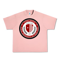 Salmon Stony Brook University Urban Heavy Tee - linhVisuals