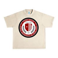 Sandshell Stony Brook University Urban Heavy Tee - linhVisuals