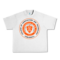 Lunar Rock Suny Cobleskill Urban Heavy Tee - linhVisuals