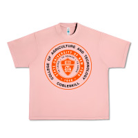 Salmon Suny Cobleskill Urban Heavy Tee - linhVisuals