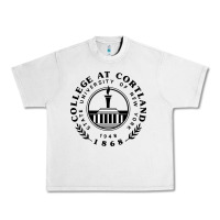 Lunar Rock Suny Cortland Urban Heavy Tee - linhVisuals