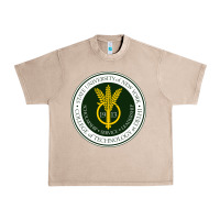 Suny Delhi Urban Heavy Tee | Teevron