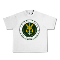 Lunar Rock Suny Delhi Urban Heavy Tee - linhVisuals