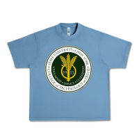 Pebble Blue Suny Delhi Urban Heavy Tee - linhVisuals