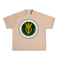 Burro Suny Delhi Urban Heavy Tee - linhVisuals