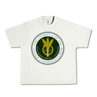 Pistachio Suny Delhi Urban Heavy Tee - linhVisuals