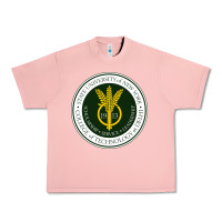 Salmon Suny Delhi Urban Heavy Tee - linhVisuals